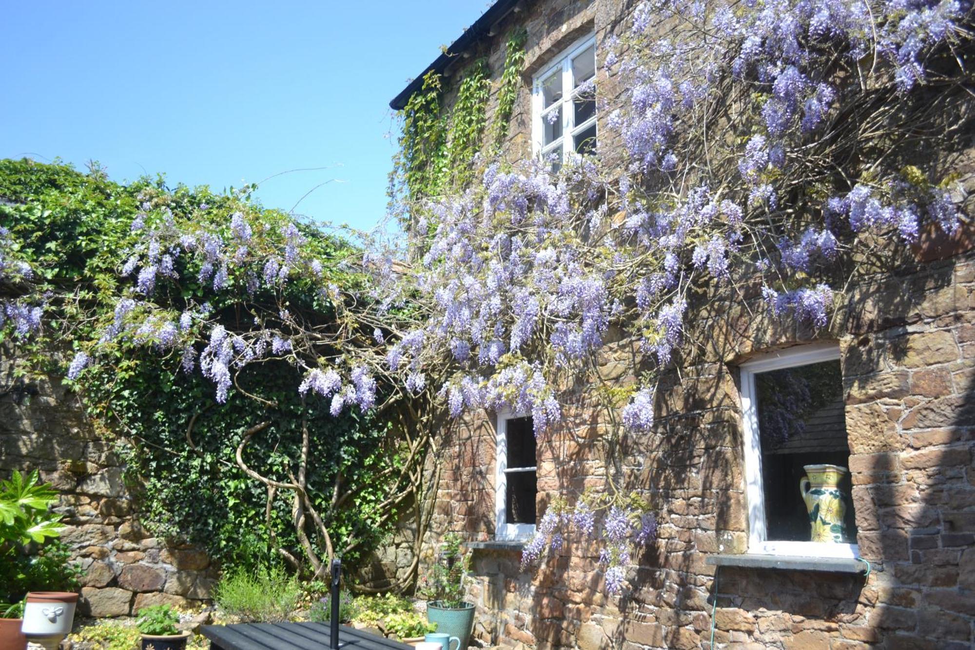 The Old Police Station Villa Hatherleigh Eksteriør bilde